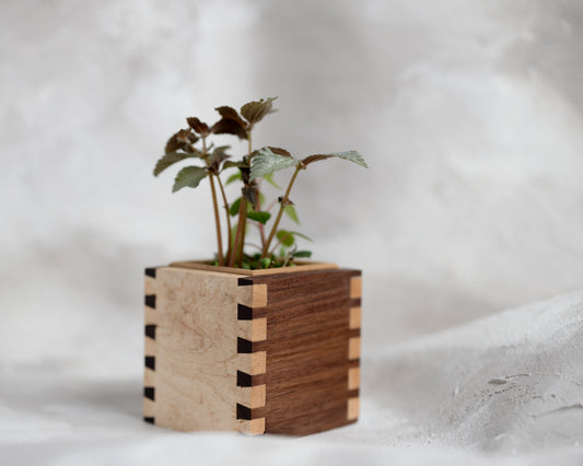 Dovetail Planter - 4" Cube